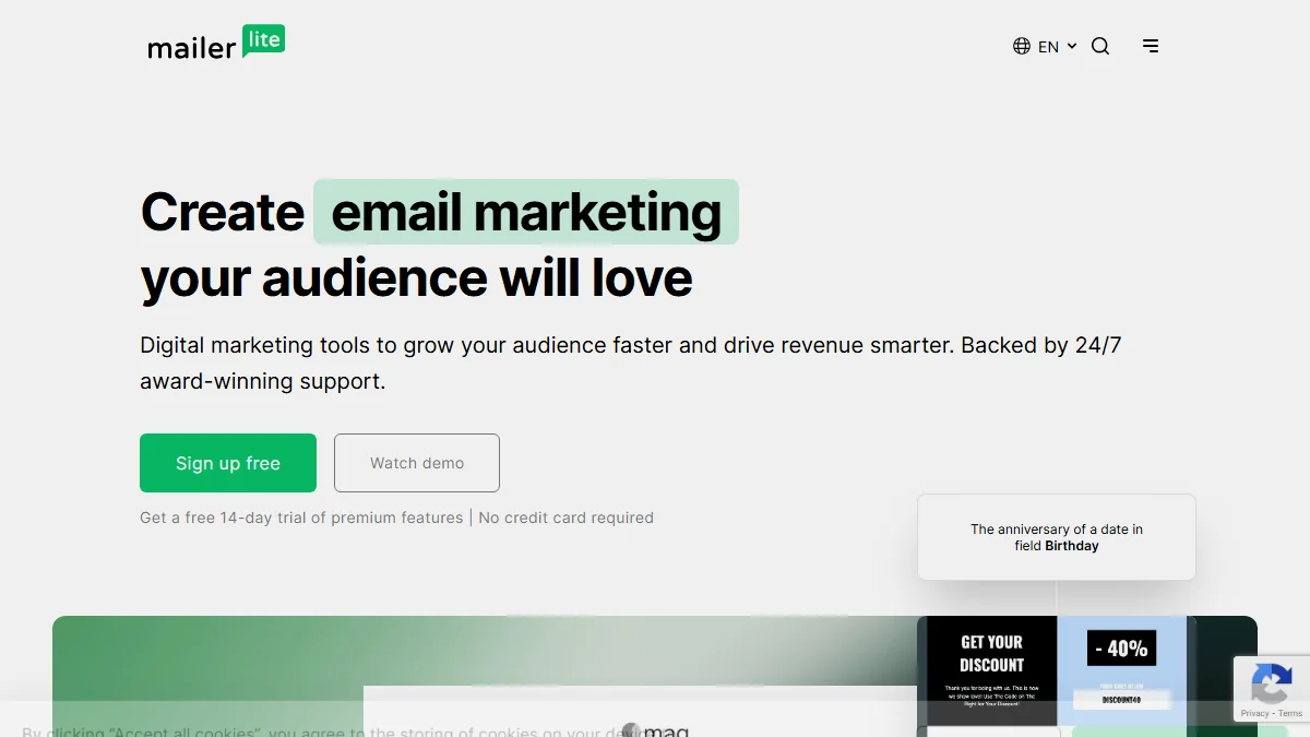 MailerLite Email Marketing Software Interface